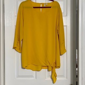 Cato blouse NWOT 18/20